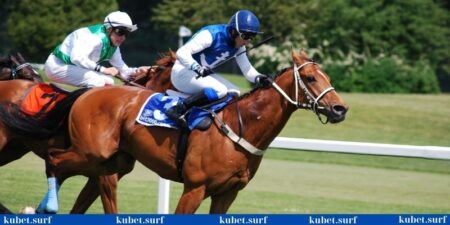 Có chiến lược cá cược khôn khéo