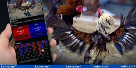 Chọn nhà cái uy tín khi chơi đá gà online